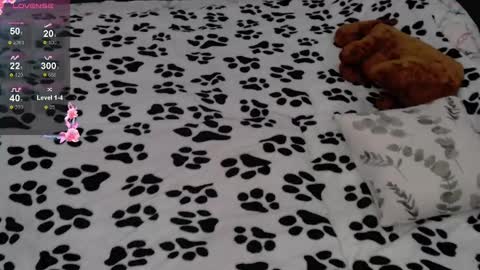 julieqt online show from 02.16.25