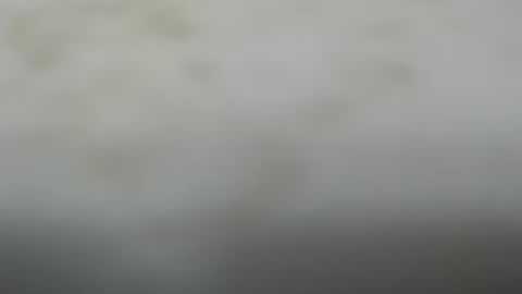 Snapshot of junk_yard_dog chatting on 10.20.25 Dave online show from 10.20.25