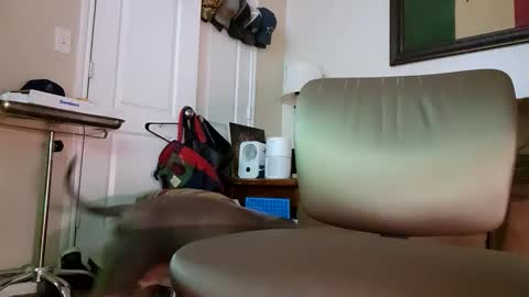 just4fun1523 online show from 01.09.26