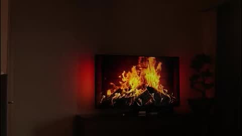 Snapshot of just_dakota_ chatting on 02.19.26 just_dakota_ online show from 02.19.26