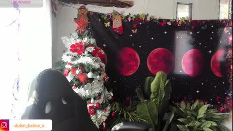 Snapshot of just_katiex chatting on 12.31.24 Sofia online show from 12.31.24