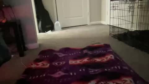 JustinCase online show from 03.14.26