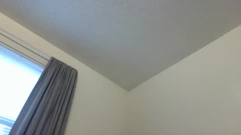 Cookie Monster online show from 12.28.24