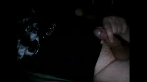 justpervfun online show from 12.08.24