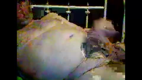 justpervfun online show from 01.15.25