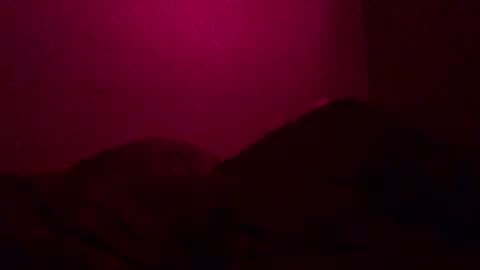 Call me Just online show from 12.26.24