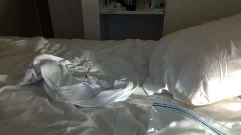 J and Sugar snap pea online show from 01.23.25