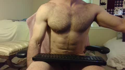 Wolf online show from 03.05.25