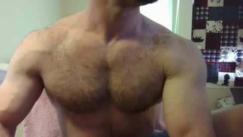 Wolf online show from 03.08.25