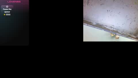 k36620146 online show from 03.03.26