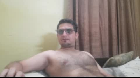 k9cat online show from 04.04.26