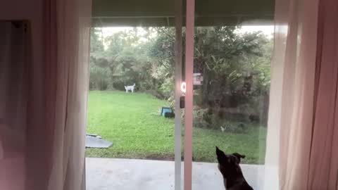 Kailee Smile online show from 01.08.25