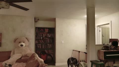 Kailee Smile online show from 11.27.25