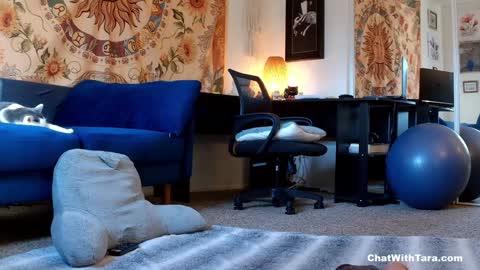 Tara Smith online show from 01.14.25