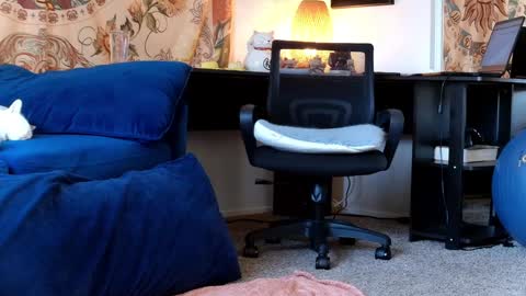 Tara Smith online show from 01.30.25