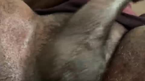 Snapshot of karadi5 chatting on 12.05.24 Snookie online show from 12.05.24