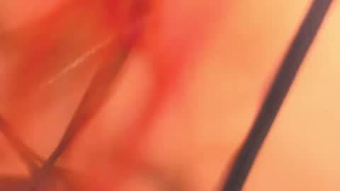 Snapshot of karina_belov_01 chatting on 02.18.25 KarinaBelov online show from 02.18.25