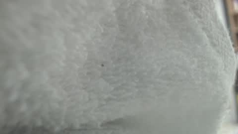 Karin online show from 01.20.25