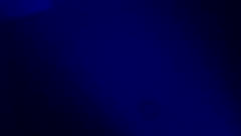 Karla Gonzaless online show from 11.19.25