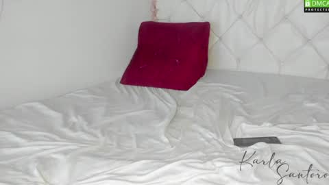 Karla Santoro online show from 07.26.26