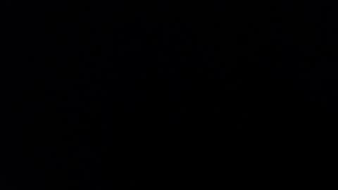 ARIANNA  online show from 01.31.25