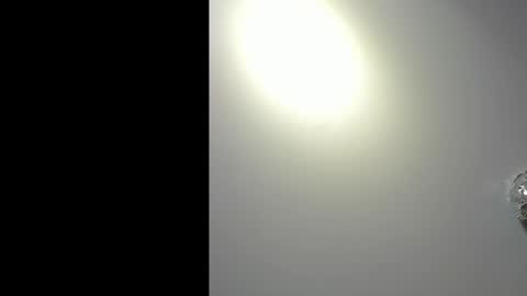 Kate  online show from 06.02.26