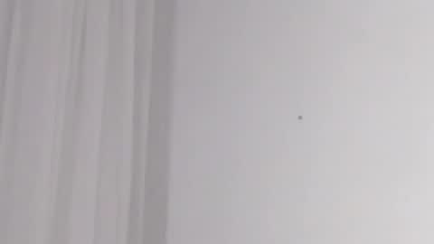 Help me with rate thanks  online show from 02.16.25