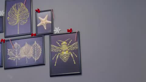 Kate online show from 12.17.24