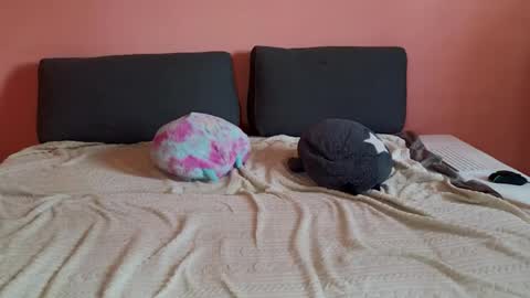 katusha008 online show from 03.31.26