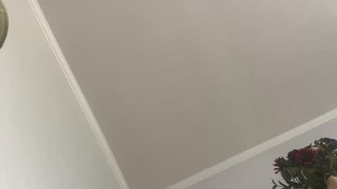 Snapshot of kcdad0001 chatting on 02.03.25 kcdad0001 online show from 02.03.25