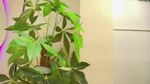 Snapshot of keila_hott20 chatting on 10.01.25 keila online show from 10.01.25
