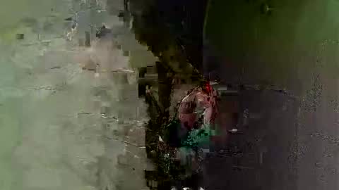 keipi online show from 12.07.24