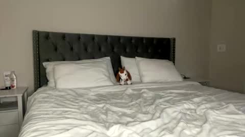 Snapshot of kekeoutlaw chatting on 02.13.26 Kekeoutlaw online show from 02.13.26