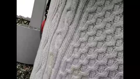 Snapshot of kenhiking chatting on 02.19.26 kenhiking online show from 02.19.26