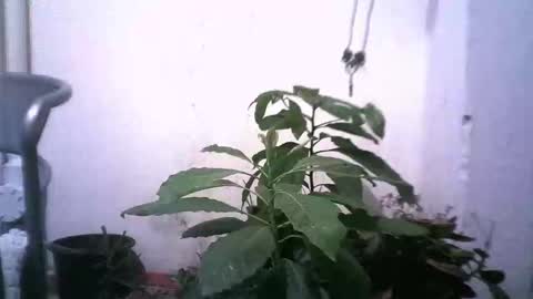 keny06 online show from 12.31.24