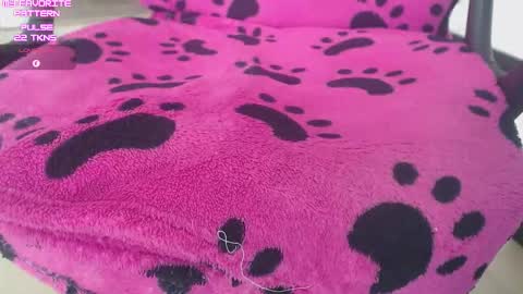 Kevin online show from 02.02.26