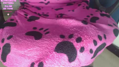 Kevin online show from 02.25.26