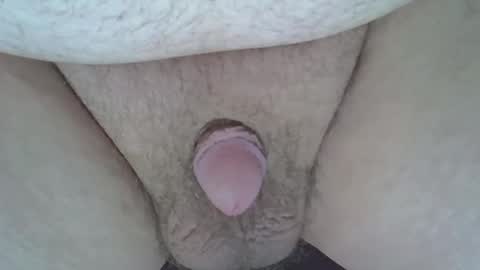 maggot online show from 03.08.25