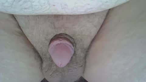 maggot online show from 03.08.25