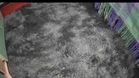 Keyla online show from 04.17.26