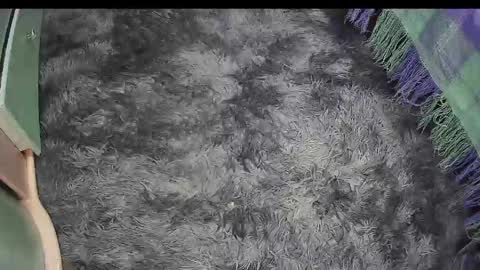 Keyla online show from 04.18.26