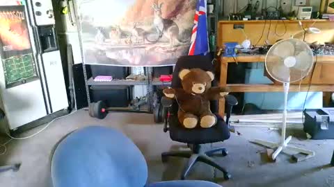 kimintheshed online show from 02.21.26