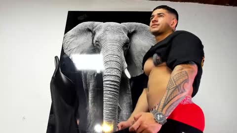 Snapshot of king_falconer chatting on 10.31.25 Angel Falconer online show from 10.31.25