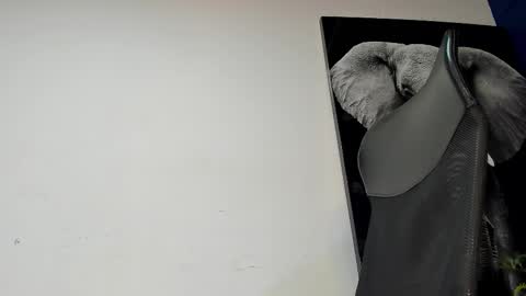 Snapshot of king_falconer chatting on 11.04.25 Angel Falconer online show from 11.04.25