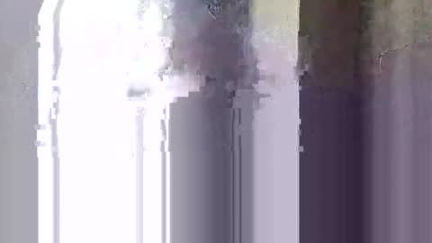 Sally online show from 11.18.25