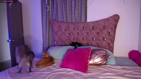  Sara  online show from 12.11.24