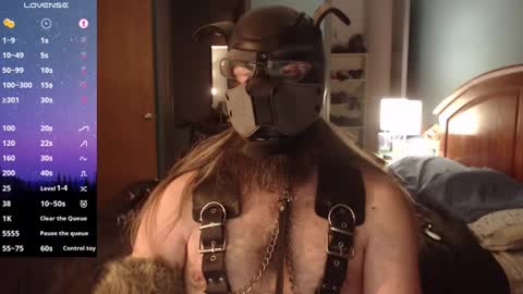 kinkywolf87 online show from 12.05.24