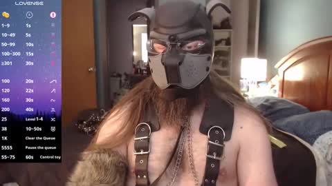 kinkywolf87 online show from 12.21.24