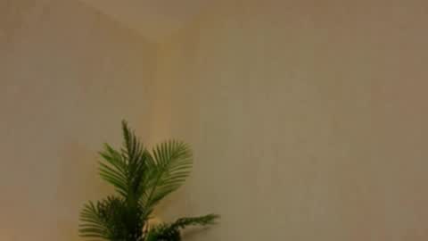 kirabesser online show from 02.27.26