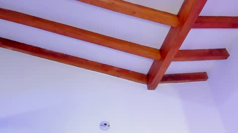 Kissing Company online show from 04.11.26